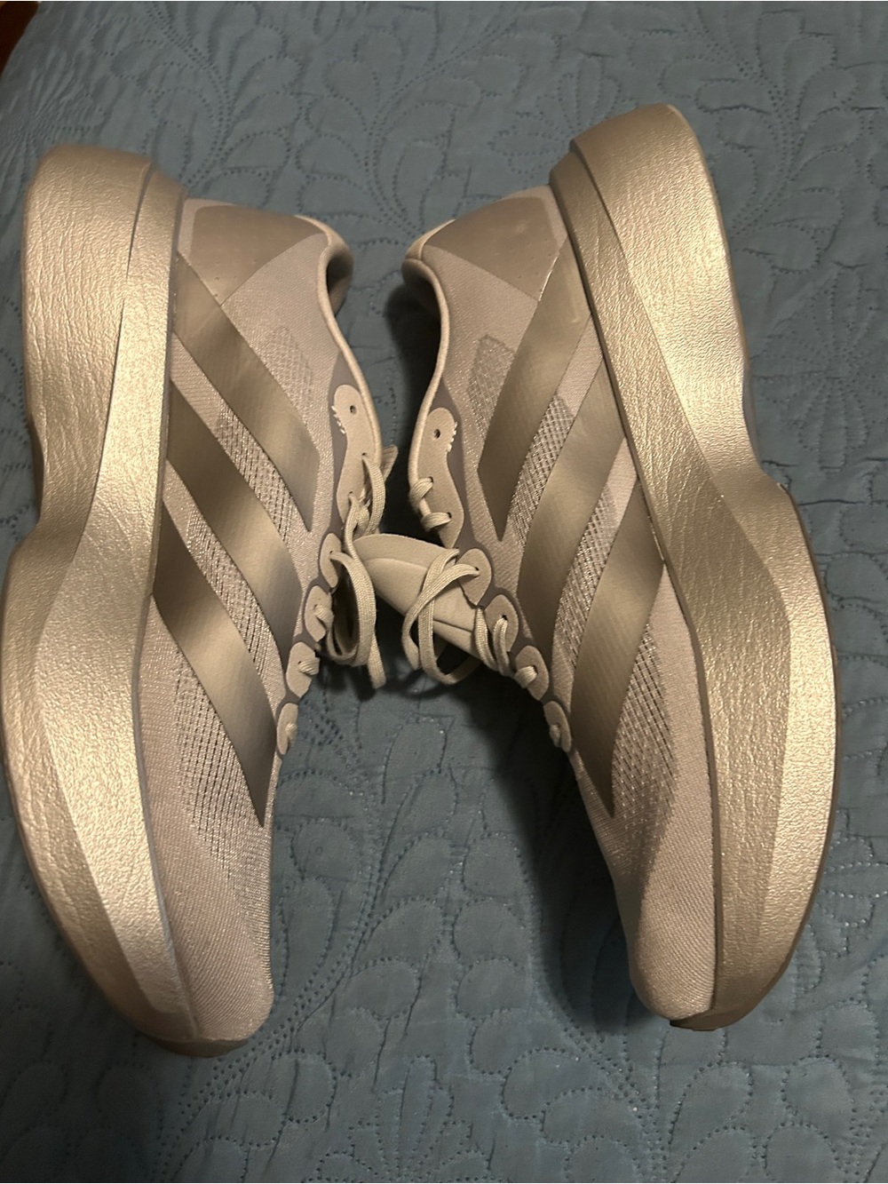 adidas evo sl